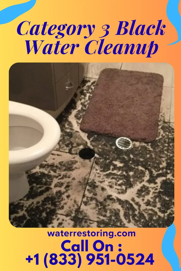 Category 3 Black Water Cleanup in Pleasant Plains, AR